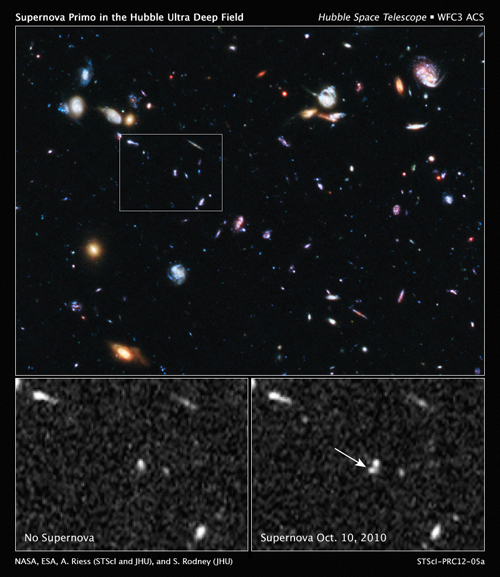 Sn Primo dans le champ ultra profond de Hubble. Crédit : NASA/ESA/STScI
