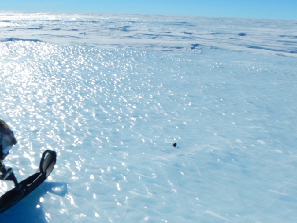 Une météorite dans le champ de glace de Nansen, en Antarctique. Crédit : Vinciane Debaille
