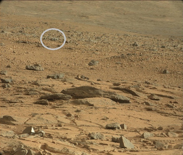 Le "rat"de Mars dans son contexte désertique. Crédit : Nasa/JPL-Caltech/MSSS.