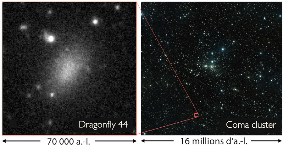 Dragonfly 44 appartient à l'amas de galaxies situé dans la Chevelure de Bérénice (Coma en latin). © P. Van Dokkum, R. Abraham, J. Brodie