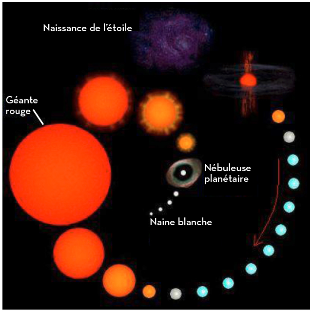 Évolution d'une étoile de type solaire en naine blanche. DR