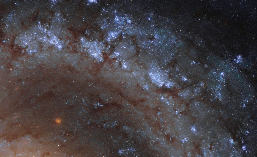 Les étoiles jeunes et chaudes de NGC4535 se remarquent par des nuances bleutées.