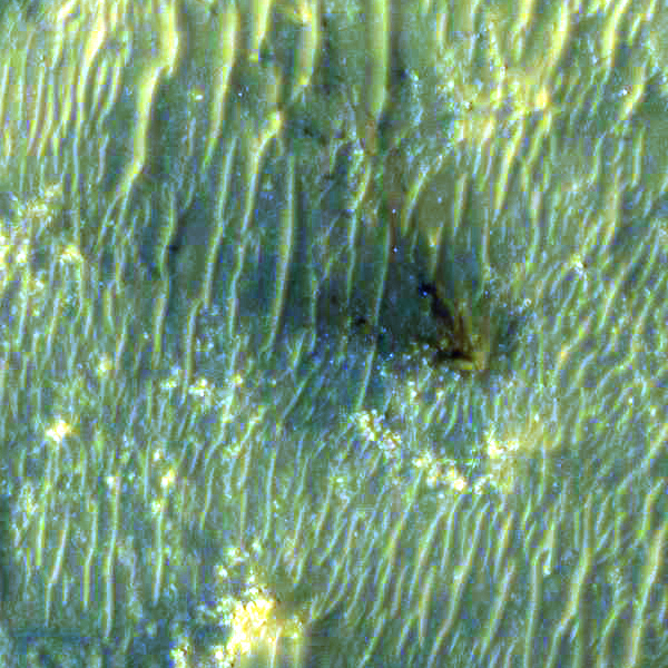 L’impact de l'étage de descente en forme de V pointe vers Perseverance. © HiRISE/MRO/Nasa