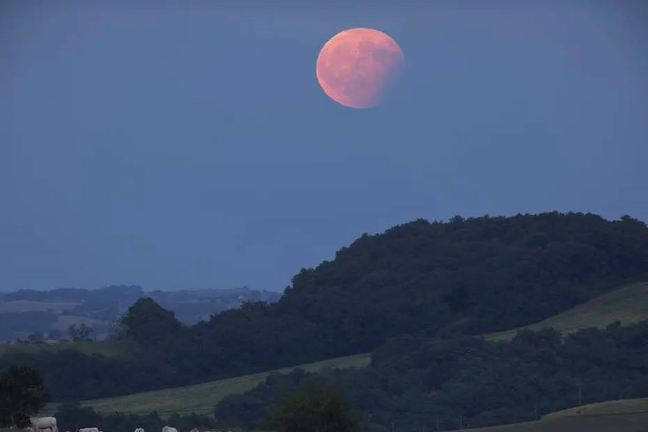 Le 16 mai à l’aube, observez et photographiez l’éclipse totale de Lune !