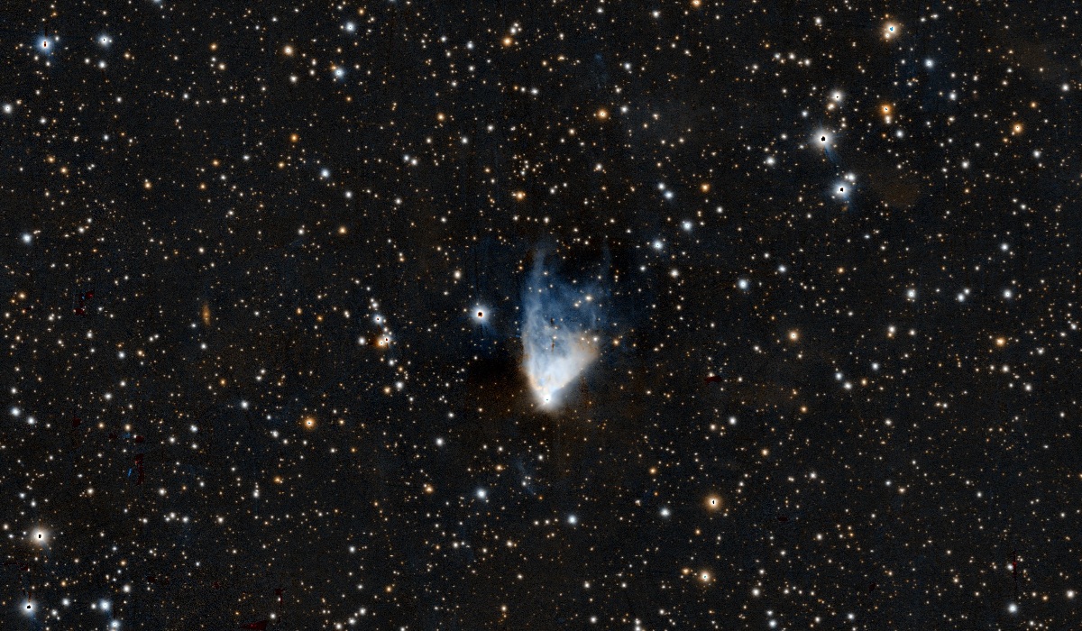 Podcast : Les spectacles de vos nuits en février 2026