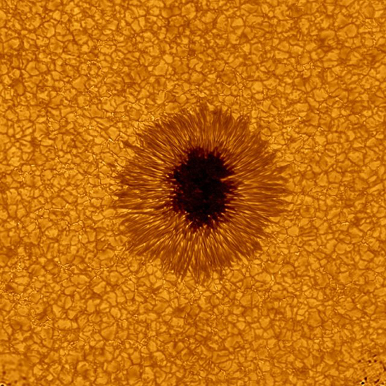 La surface du Soleil est agité d'un bouillonnement perpétuel, bien visible tout autour de cette tache solaire. Crédit : BBSO/C&E Photos