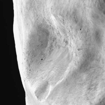 Le cratère de Lutetia apparaît lisse, probablement parce que l'astéroïde est recouvert de régolite. Crédit : ESA/MPS for Osiris/C&E